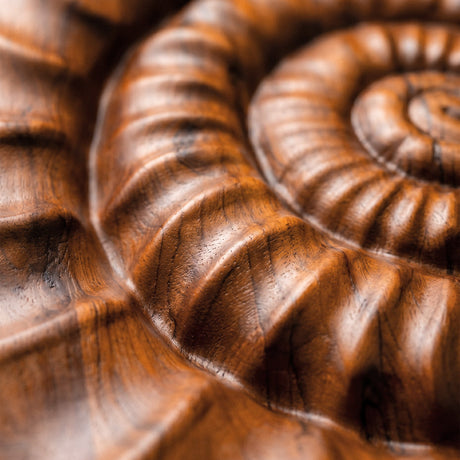Hand Carved Teak Wall Art - Ammonite