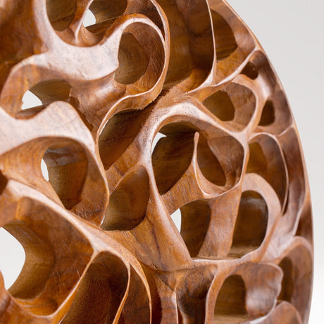 Hand Carved Teak Wall Art  - Root Spiral