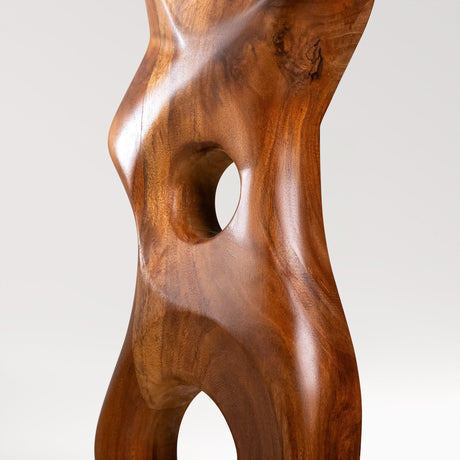 Hand Carved Wood Sculpture - Hollow